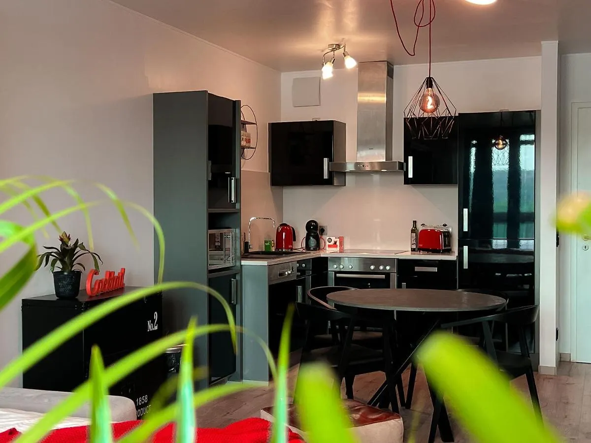 Industrial Apartment In Belval The University City Esch-sur-Alzette