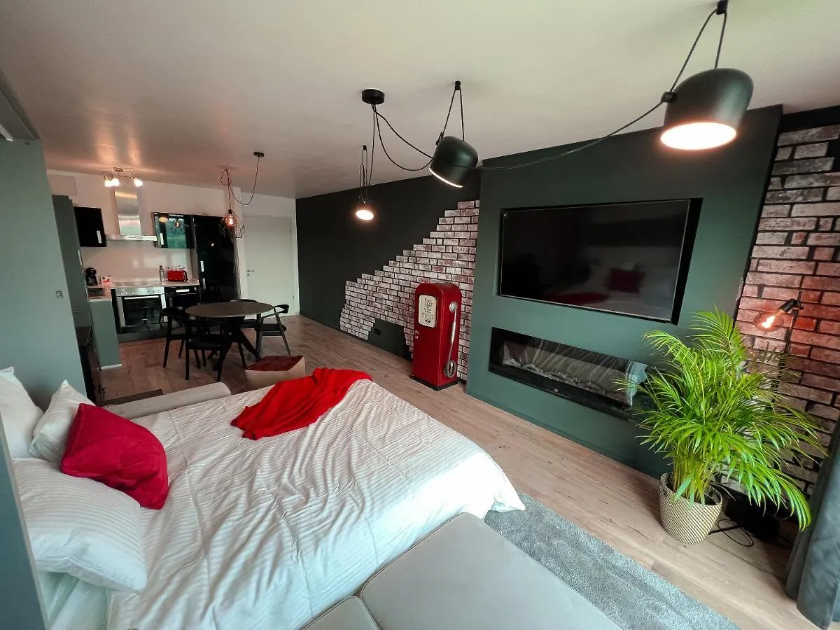 Industrial Apartment In Belval The University City Esch-sur-Alzette Luxembourg