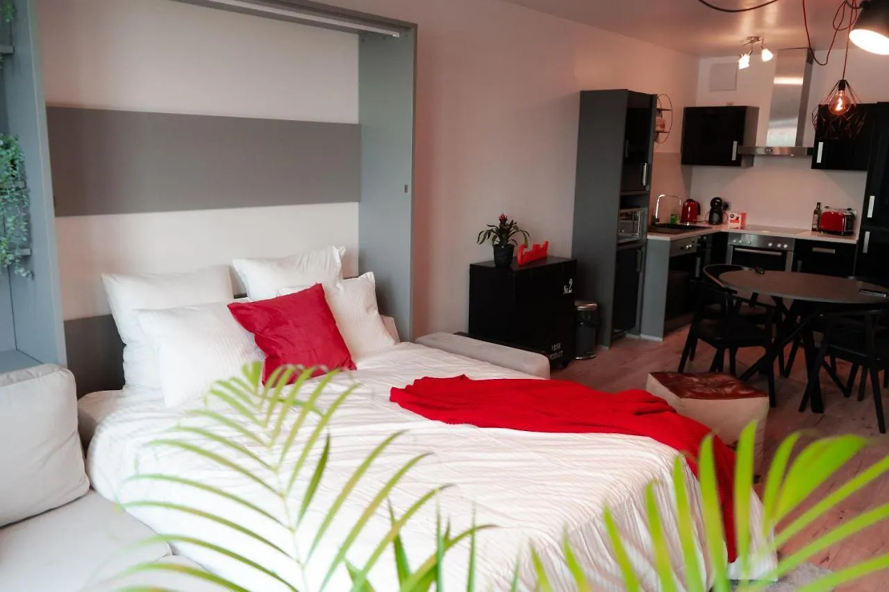 Industrial Apartment In Belval The University City Esch-sur-Alzette